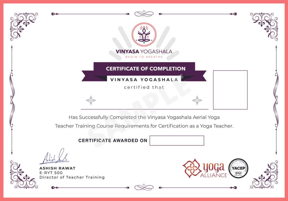 Aerial Yoga Teacher Training in Rishikesh