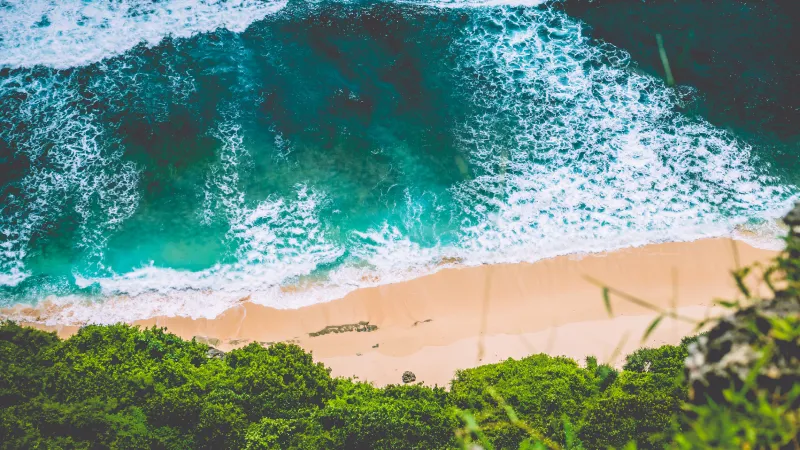 100 hour yoga teacher training in Rishikesh