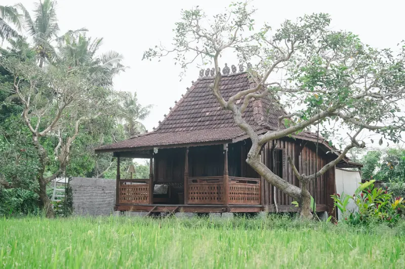 Yoga School in Rishikesh