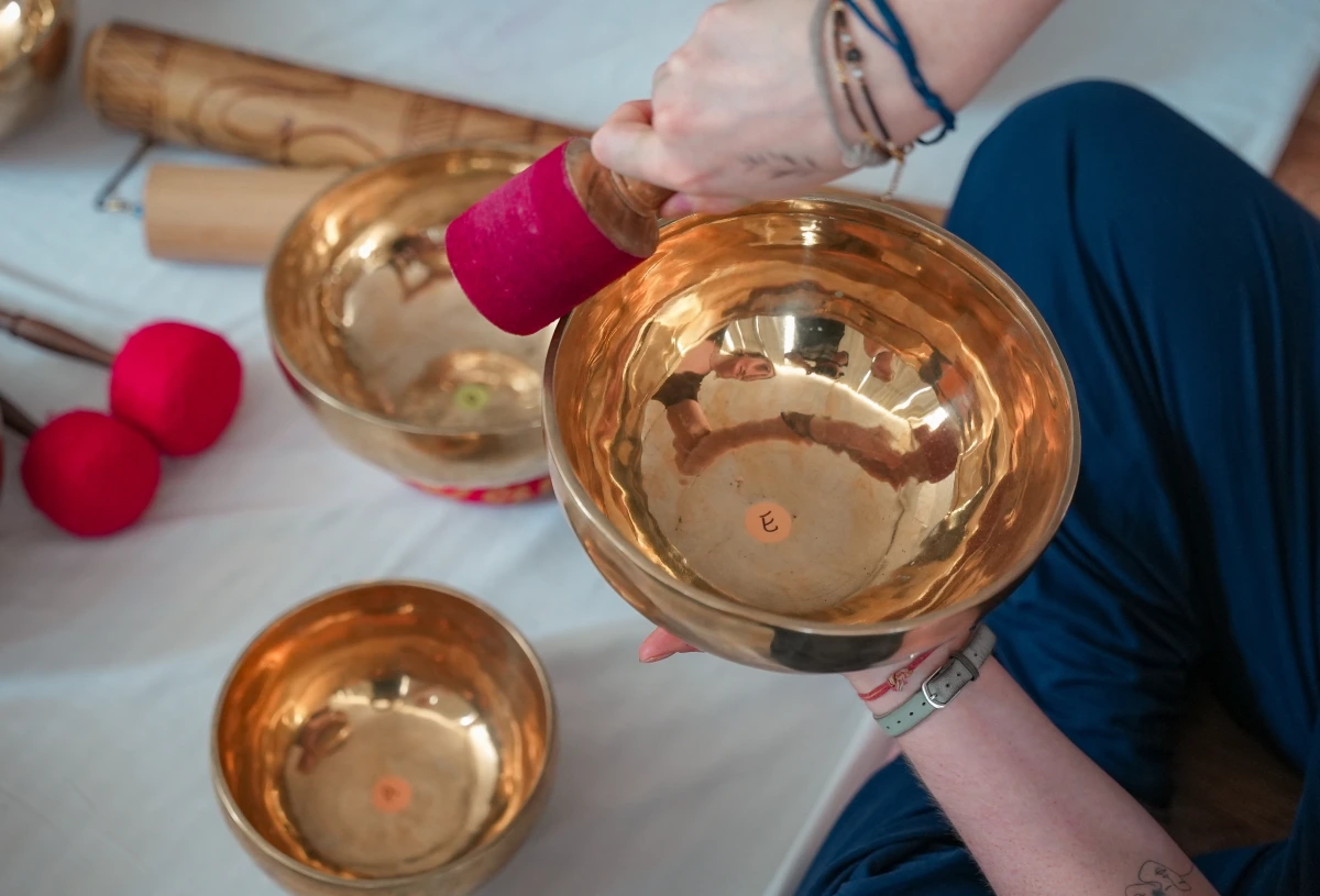 hatha yoga teacher training in india